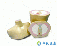 美國(guó)CIRS 600 3D軀干模體