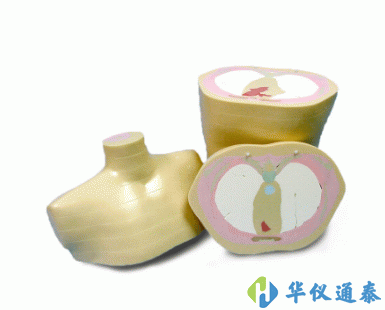 美國(guó)CIRS 600 3D軀干模體