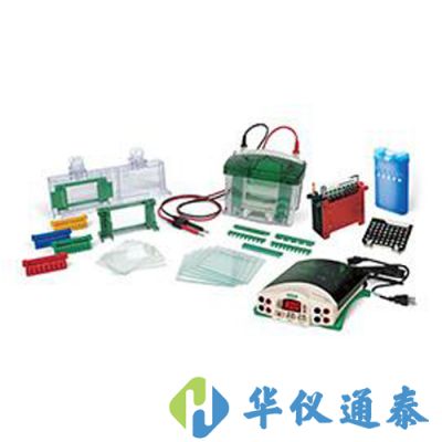 美國伯樂Bio-Rad 1658033垂直電泳轉印系統(tǒng)套裝