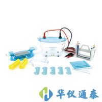 北京六一 DYCZ-24K、DYCZ-24KS型雙板垂直電泳儀