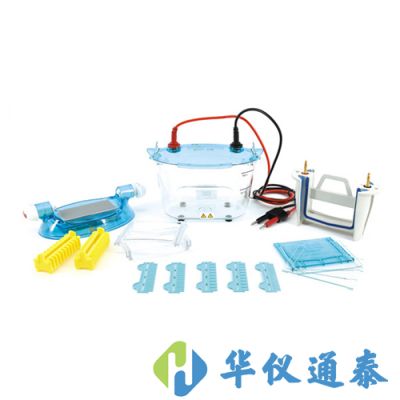 北京六一 DYCZ-24K、DYCZ-24KS型雙板垂直電泳儀