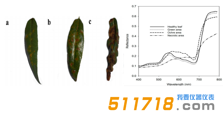 1573552156300018.png 應(yīng)用案例.png