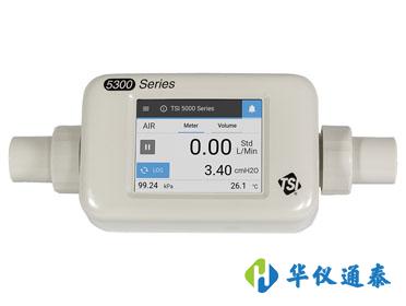 1603245979409006.jpg 氣體質(zhì)量流量計(jì).jpg