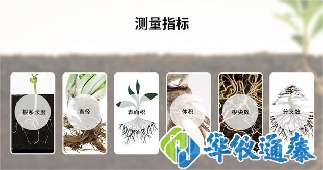 植物根系分析儀.jpg 植物根系分析儀.jpg
