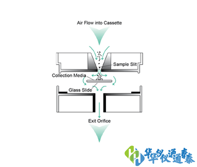 1641284420570641.png 3.png